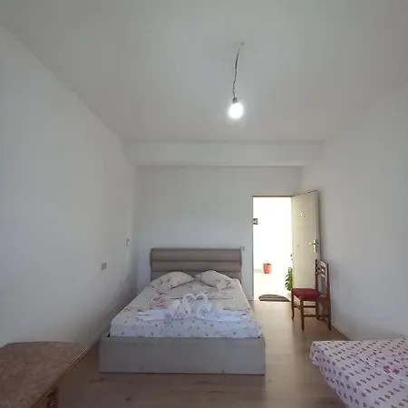 Apartment Lion's